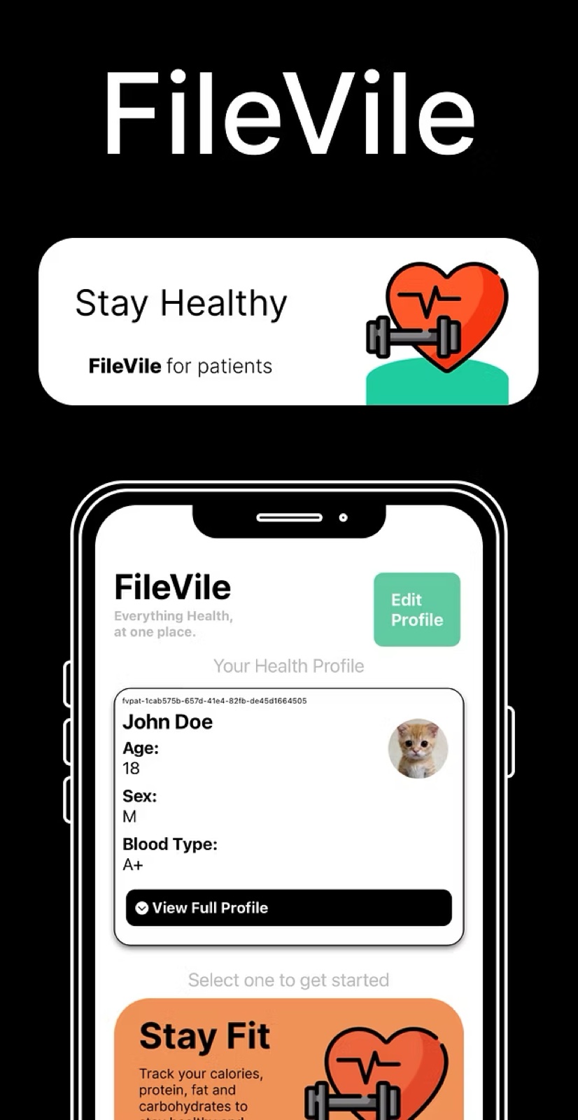 FileVile store art: the patient profile, records in one place.